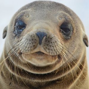 Meet your Posher, Jack